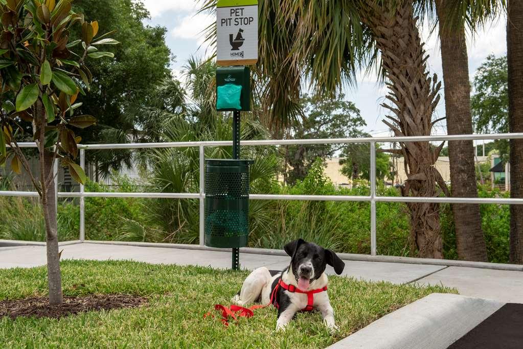 Home2 Suites By Hilton Tampa Westshore Airport Εξωτερικό φωτογραφία